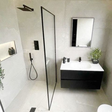 Modern bathroom with glass shower, black fixtures, and a small plant.