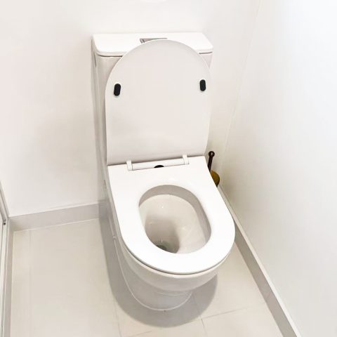 Pureline Back to Wall Toilet Suite – Vortex Flush with Nano Glaze - Image 2