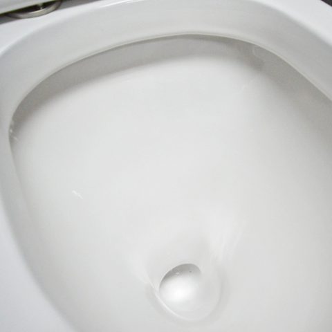 Nexa Floor Mounted Inwall Toilet Suite - Rimless - Vortex Flush - P/S Trap - Image 7